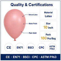 Lot de 100 ballons en latex Feile rose blush de 10 pouces pour guirlande arche bohème saumon, décorations de fête d'anniversaire et de baby shower