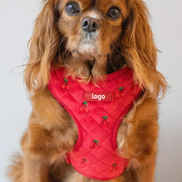 Harnais de luxe pour chien en velours rouge matelassé brodé cerises - Durable, confortable, boucle à dégagement rapide, logo personnalisé
