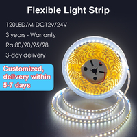 QM Noël 120led/m 12V SMD 2835 Bande lumineuse LED à montage en surface Décoration de plafond