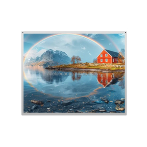 Precio de Fábrica, Panel de Pantalla LCD BOE EV190E0M-N11 N50 N10 de 19 Pulgadas SXGA para Monitor Médico, 1280x1024, 250-1300 nits, LVDS - Product Image 1