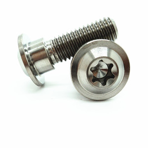 Bu Lông Gián Điệp Titiamium Bu Lông Torx M3 E M12x100mm Titan Gr5 M6x15 Bu Lông Torx Chất Lượng Cao Và Giá Tốt Nhất - Product Image 5