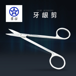 Star Tooth Gum Scissors Stainless Steel Dental Surgical Instrument CE Certified - Product Image 1
