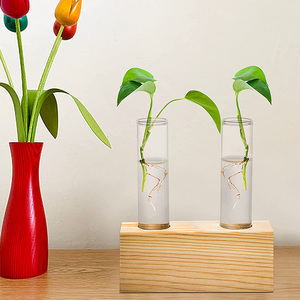 Terrario de Vidrio para Propagación de Plantas, Tubo de Ensayo para Plantas Hidropónicas, Decoración para Hogar y Jardín, Venta al Por Mayor - Product Image 5