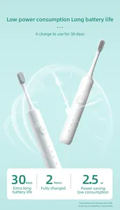 แปรงสีฟันไฟฟ้าระบบโซนิกเป็นมิตรต่อสิ่งแวดล้อม