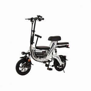 Bicicleta Eléctrica Plegable de 12 Pulgadas con Asiento para Bebé y Cesta, Batería de Litio de 48V, Tipo de Carrocería Abierta, Certificación EEC, Voltaje 60V - Product Image 1