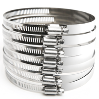 304 316 201 Colliers de serrage réglables en acier inoxydable à dégagement rapide de type Amérique