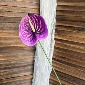 ดอกไม้ประดิษฐ์รูปหูช้าง ดอกไม้พลาสติกประดิษฐ์ สำหรับตกแต่งงานแต่งงาน ตกแต่งหลังคา/แท่นบูชาในงานแต่งงาน - Product Image 6