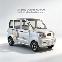 Voiture électrique mini haute performance, fermée, 4 roues, 4 portes, véhicule électrique pour adultes et personnes âgées, voiture chinoise