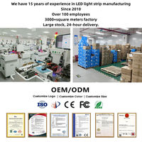 Lampu Strip LED COB WS2811 24V Efek Air Mengalir 10mm 360LED/M  Flow Chasing Fleksibel FCOB Pita LED Ribbob untuk Dekorasi Ruangan