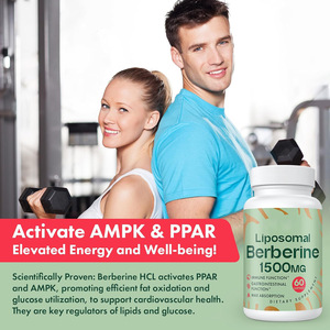 Berbérine Liposomale OEM/ODM 1500mg en Gros - <span class=keywords><strong>Capsules</strong></span> Ultra Puissantes pour la Santé Métabolique - Formulation Personnalisée Aliment Santé - Product Image 2