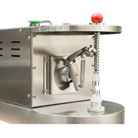 Automatische roestvrijstalen groente- en fruitenschilmachine Schil-appelmachine Sinaasappelschiller Hoge productiviteit 220V 80W