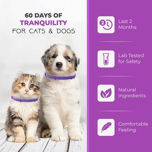 High Rating Quality Dog Calming <strong>Collar</strong> Comfort <strong>Zone</strong> Luxury Outdoor Plastic Solid 2 Pack - Product Image 6