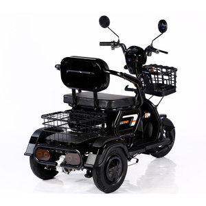 <span class=keywords><strong>2023</strong></span> vente en gros Ebike 3 roues <span class=keywords><strong>Cargo</strong></span> Tricycle 1000W 600W 48V 3 roues Tricycle électrique vélo pour adultes - Product Image 2