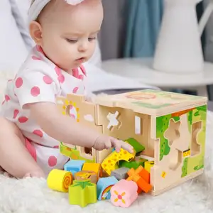 Mainan edukasi kombinasi kombinasi kotak intelijen kartun multifungsi menyenangkan blok pencocokan pola bentuk kayu anak-anak