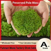 Mousse d'herbe préservée pour la décoration, poteau art floral, vente en gros, 9 pièces