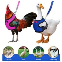 Harnais en Nylon Réglable pour Animaux de Compagnie Gilet d'Entraînement Confortable et Respirant pour Poulet Oie Motif Poulet de Pâques en Polyester Durable