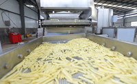 Frieten Snijmachine Aardappel Snijden Apparatuur Strips Snijmachine