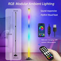 Lampes LED collées à piles rechargeables Colorful Pickup Rhythm Lamp for Hotel Home Ball DJ Bar Atmosphere Decorating Lights