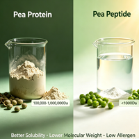 Poudre de peptides de protéines de pois non-OGM, à base de plantes, pour la nutrition sportive et ingrédient végétalien hypoallergénique