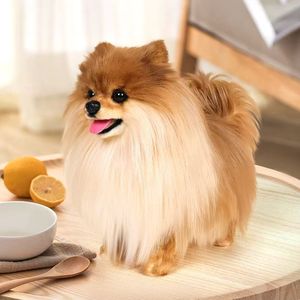 Peluche <span class=keywords><strong>Pomeranian</strong></span> blanche réaliste, cadeau pour enfants et adultes |   Jouet anti-stress d'anniversaire en peluche super douce, non un animal en peluche - Product Image 2