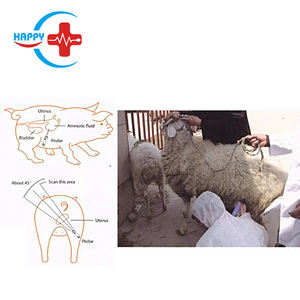 Mini escáner veterinario portátil para HC-R054, detector/instrumento de prueba de <span class=keywords><strong>embarazo</strong></span> para cerdo, oveja, animales - Product Image 6