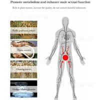 Vente directe usine – Compléments naturels à base de plantes pour l'amélioration masculine – Gouttes liquides pour la croissance, l'épaississement, la force et l'agrandissement – Huile pour hommes