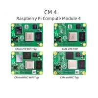 Nouveau module de calcul Raspberry Pi d'origine 4 (CM4) pour les kits de cartes de développement 1G/2G/4G/8G RAM 0G/8G/16G/32G EMMC Core Board UK