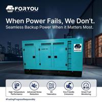 Générateur diesel 110 KVA avec stabilisateur de tension automatique pour les installations publiques communautaires, les ateliers industriels, démarrage à distance