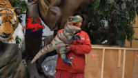 Marionnette à main unique Velociraptor Dinosaure