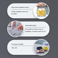 Hachoir manuel multifonction en plastique avec lames en acier inoxydable de haute qualité, coupe-légumes, coupe-pommes de terre pour frites