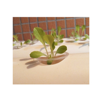 Pot à mailles en plastique pour serre Panier de culture de légumes Système hydroponique Net Cup