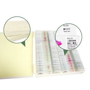 Ressources pédagogiques Lames de microscope préparées Étude de l'enseignement supérieur Section de la moelle épinière Lames d'histologie humaine - Product Image 6