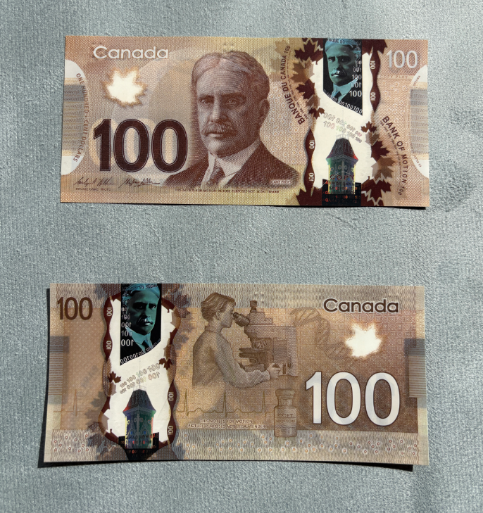 marron 100 CAD Plastique (50 pièces/PACK)