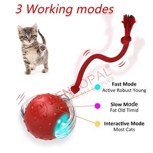 Nuovo Design interattivo Smart <span class=keywords><strong>Cat</strong></span> Toy con accessori per la coda rotolamento veloce sul tappeto cinguettio e movimento attivano i giocattoli per gatti - Product Image 2