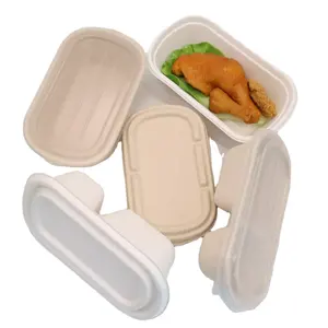 GeoTegrity - Biodegradable 3 Compartment Take Out Container Food Packaging  Sugarcane Bagasse Pulp Lunch Box Supplier
