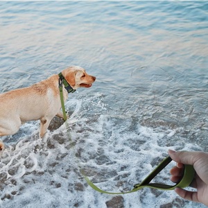 Özelleştirmek klasik naylon su geçirmez Pet eğitim halatı köpek tasma uzun yumuşak PVC avcılık köpek tasma yürüyüş koşu tırmanma için - Product Image 6