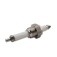 Capteur de niveau d'eau G1/2 à double électrode en acier inoxydable 304 316 Sonde de niveau de liquide pour chaudières et générateurs de vapeur