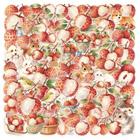 50 autocollants transparents en PET imperméables, peints à la main, motif litchi, pour journal, téléphone, réfrigérateur, voiture, cadeau