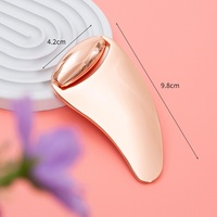Rouleau de massage facial en jade, planche Gua Sha en métal, instrument de massage liftant, appareil de relaxation musculaire, outil de beauté, lifting du visage LF410
