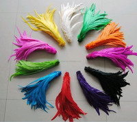 Plumes de queue de coq teintées de 16-18 pouces pour artisanat, chapeaux de mariage, costumes, spectacles, décoration DIY