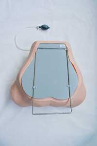 जी. डी./FW3 सामान्य डॉक्टर लियोपोल्ड की Maneuvers, गुदा और योनि महिला परीक्षा सिम्युलेटर - Product Image 3