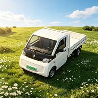 Camion de fret adaptable à toutes les conditions météorologiques REACH T10 Mini camion électrique à charge rapide pour livraison