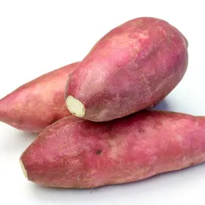 Lavatrice verdura CE certificata industriale patata vegetale carota Taro manioca zenzero Yam radice di lavaggio e Peelin