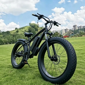 Dual Motor 750W Lithium Battery High-Speed Singletrack Powerhouse 26x4 Electric Bike for Enduro Cross-Country Riding - Product Image 1