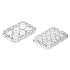 Microplates <span class=keywords><strong>6</strong></span> 12 24 48 96 Lubang Lubang Jaringan <span class=keywords><strong>Cell</strong></span> <span class=keywords><strong>Culture</strong></span> <span class=keywords><strong>Plate</strong></span> dengan TC Diobati - Product Image 2