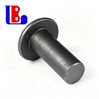Rivets à tête ronde, attaches métalliques, diamètre, longueur et traitement de surface sur mesure, fabricant de rivets sur mesure en Chine