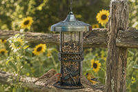 Mangeoire à oiseaux en métal avec tube transparent, ornement libellule, dôme décoratif, plateau à graines, chaîne de suspension, décoration de jardin, style antique, écologique