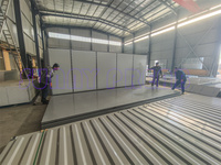 Unités de stockage préfabriquées en acier pliables mobiles à une porte de 20 pieds isolées Conteneurs portables imperméables