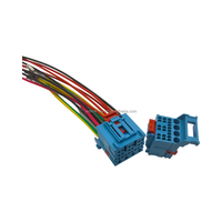 Faisceau de câblage automobile TE Original 12V 24 broches à âme en cuivre, longueur 300 mm, PVC/PTFE, conforme ISO9001 IATF16949 pour modèle