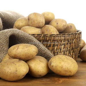 Nouvelle récolte <span class=keywords><strong>de</strong></span> haute qualité pommes <span class=keywords><strong>de</strong></span> <span class=keywords><strong>terre</strong></span> fraîches Chine Exportation Hollande Semences/Graines Prix compétitifs pour la <span class=keywords><strong>vente</strong></span> - Product Image 4